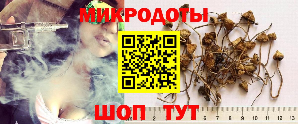 Галлюциногенные грибы прущие грибы Ирбит