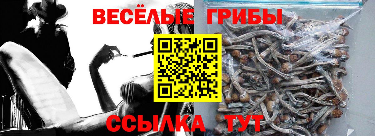 Ирбит  Галлюциногенные грибы мицелий  Галлюциногенные грибы Psilocybe  Вход с VPN 